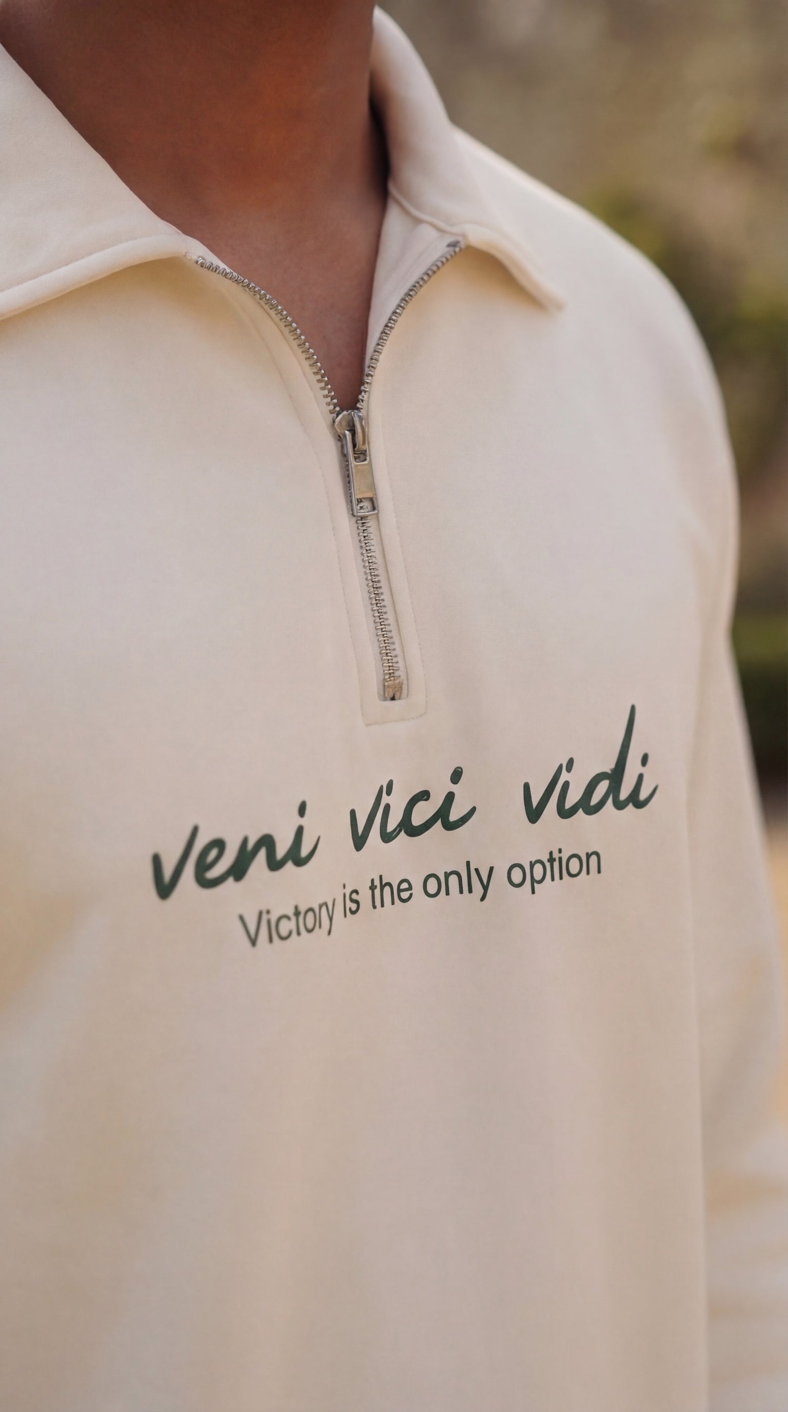 Veni Vici Vidi Pullover
